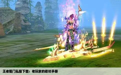 王者蜀门私服下载：老玩家的避坑手册