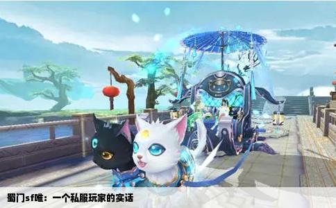 蜀门sf唯：一个私服玩家的实话