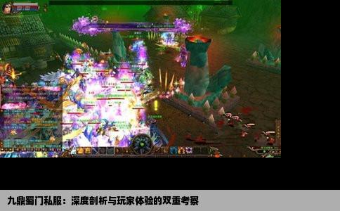 九鼎蜀门私服：深度剖析与玩家体验的双重考察
