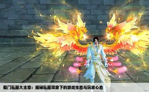 蜀门私服大主宰：揭秘私服现象下的游戏生态与玩家心态