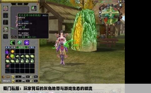 蜀门私服：玩家背后的灰色地带与游戏生态的暗流