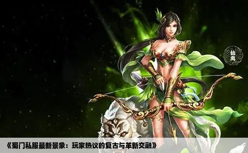 《蜀门私服最新景象：玩家热议的复古与革新交融》