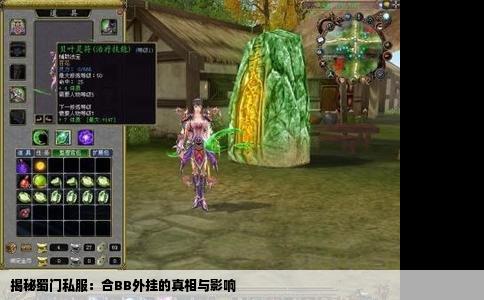 揭秘蜀门私服：合BB外挂的真相与影响