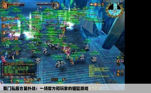 蜀门私服合星外挂：一场官方和玩家的猫鼠游戏