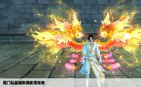 蜀门私服辅助器使用指南
