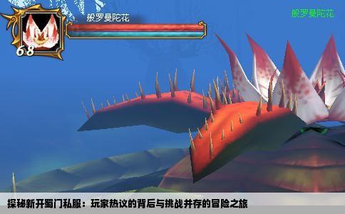 探秘新开蜀门私服：玩家热议的背后与挑战并存的冒险之旅